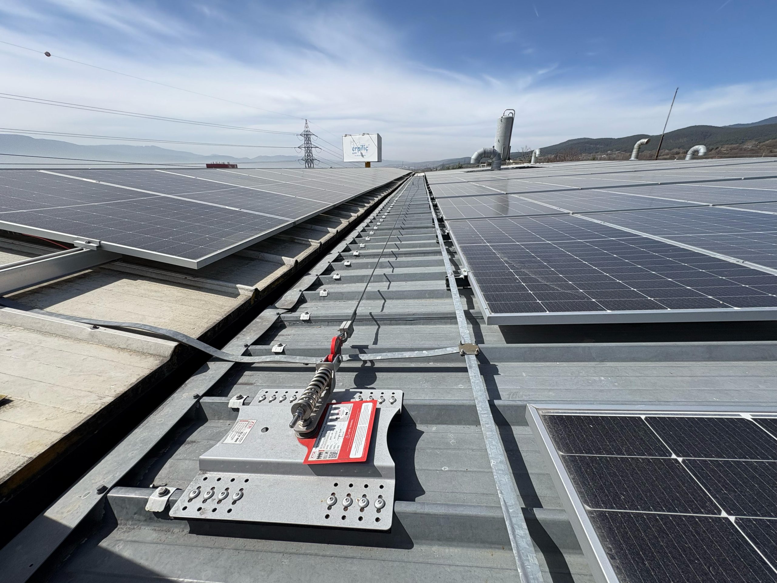 Yaşam hattı nedir?